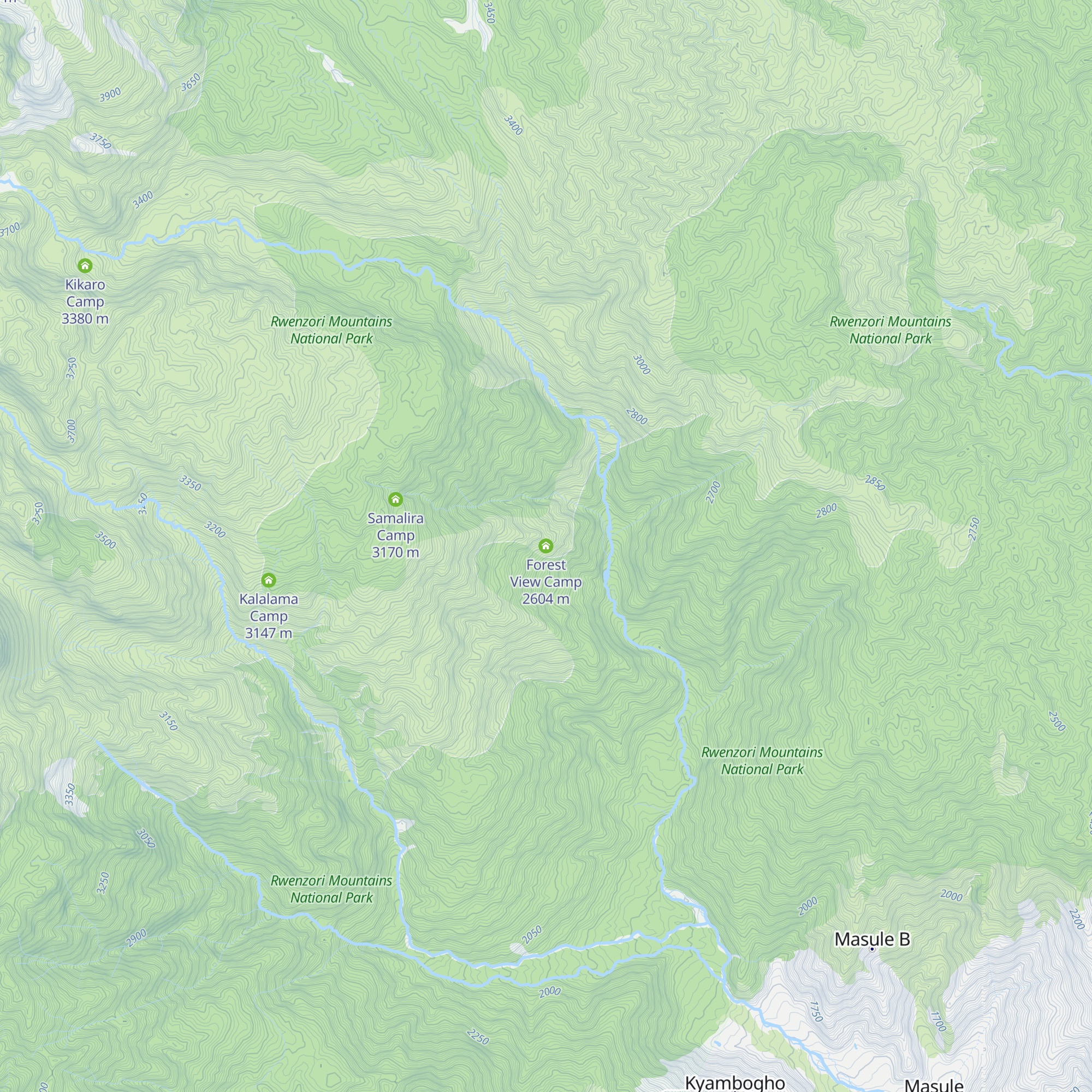 Forest View Camp map