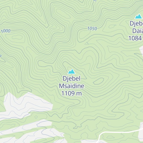 Map of Djebel Msaïdine