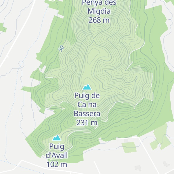Map of Puig de Ca na Bassera