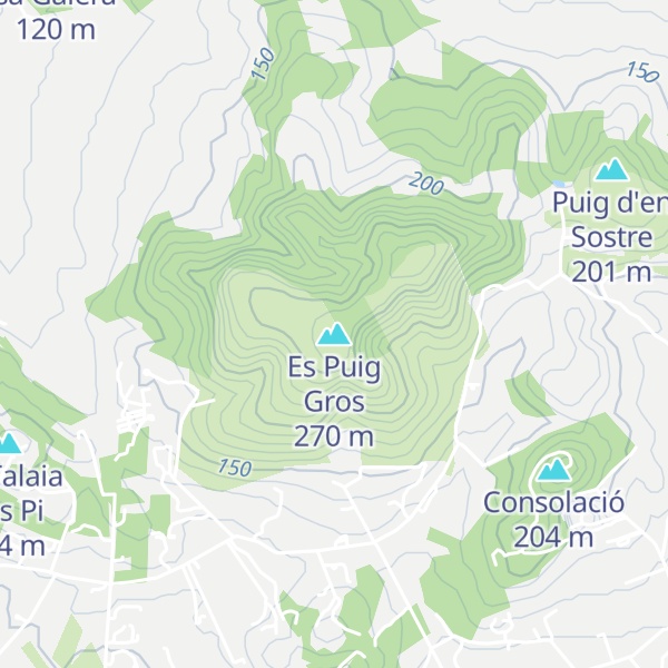 Map of Es Puig Gros