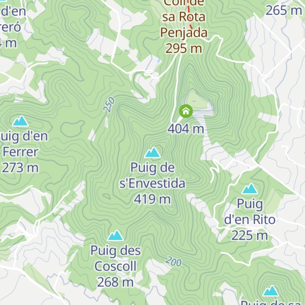 Map of Puig de s'Envestida
