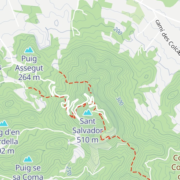 Map of Puig d'en Bossa