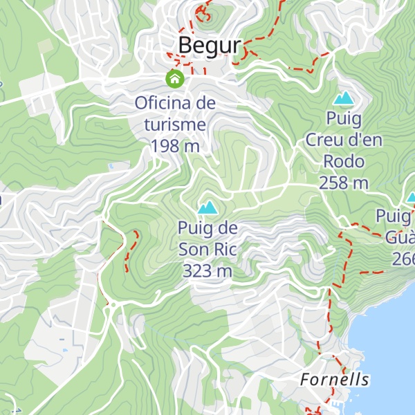 Map of Puig de Son Ric