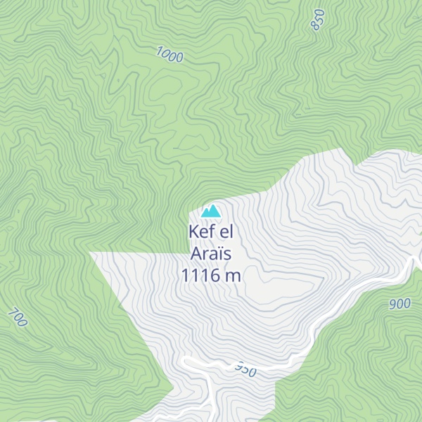 Map of Kef el Araïs