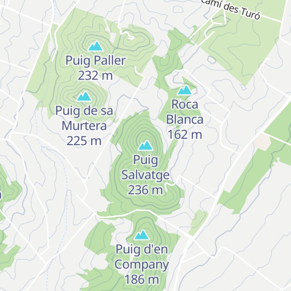 Map of Puig Salvatge
