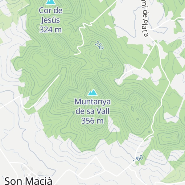 Map of Muntanya de sa Vall