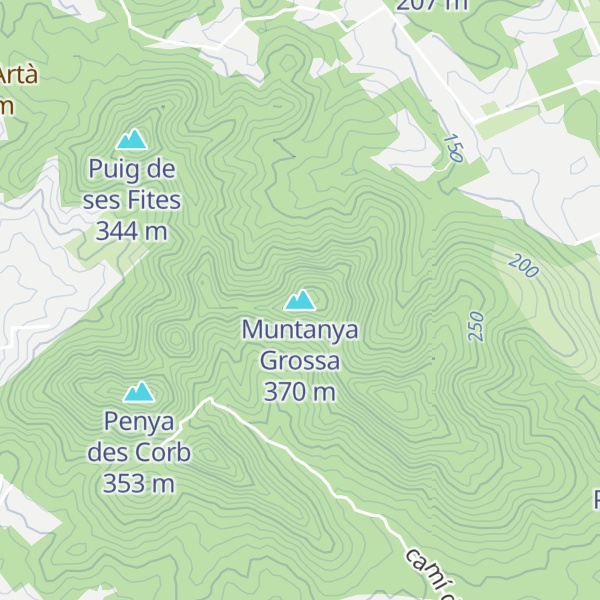 Map of Muntanya Grossa