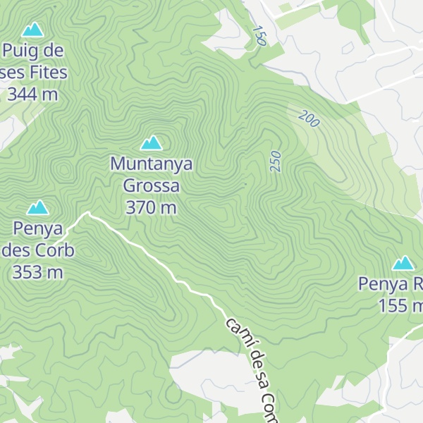 Map of Puig de ses Buines