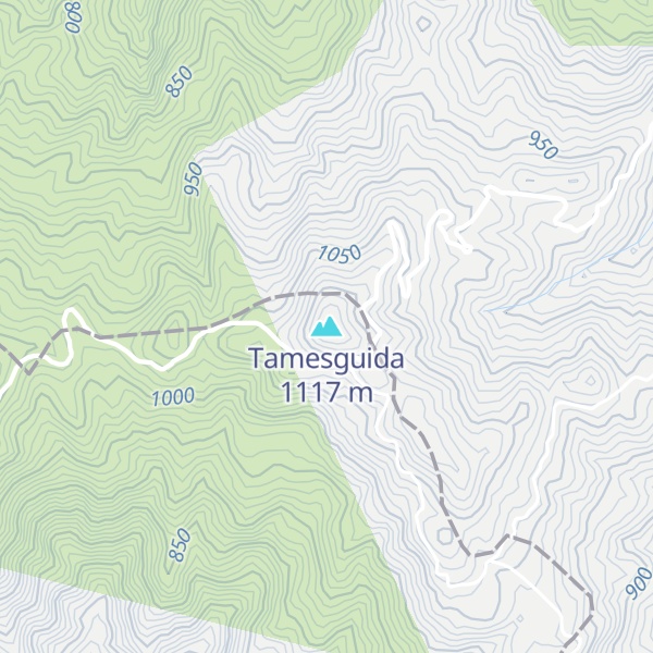Map of Tamesguida