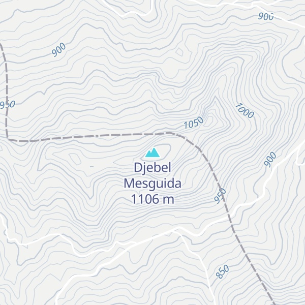 Map of Djebel Mesguida