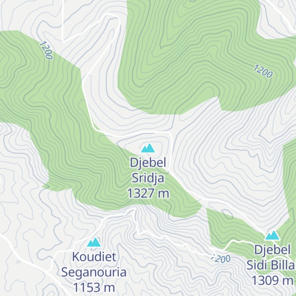 Map of Djebel Sridja