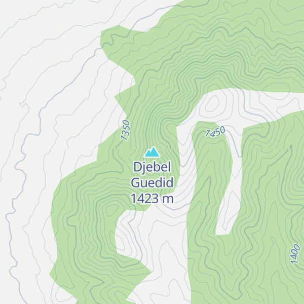 Map of Djebel Guedid