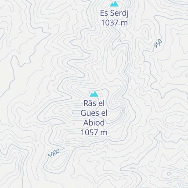 Map of Râs el Gues el Abiod