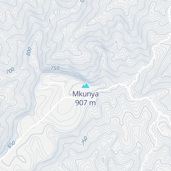 Map of Mkunya