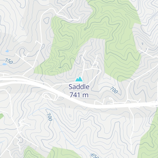 Map of Saddle