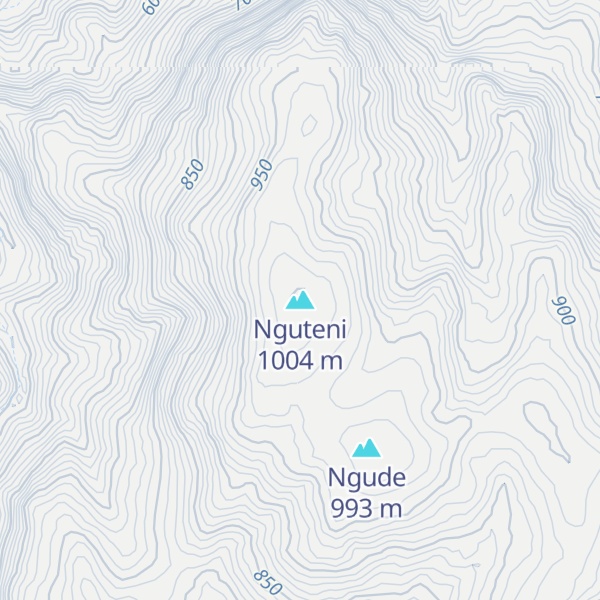 Map of Nguteni