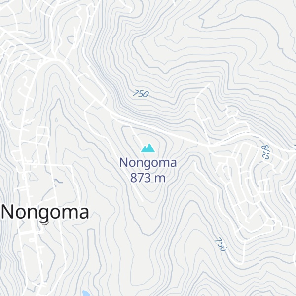 Map of Nongoma
