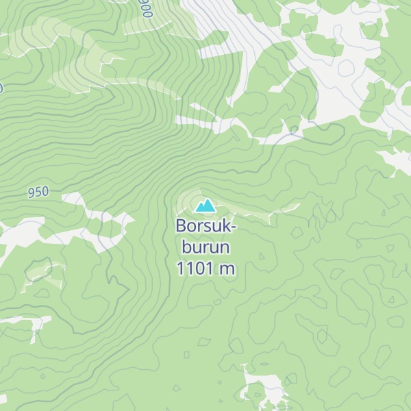 Map of Borsuk-burun