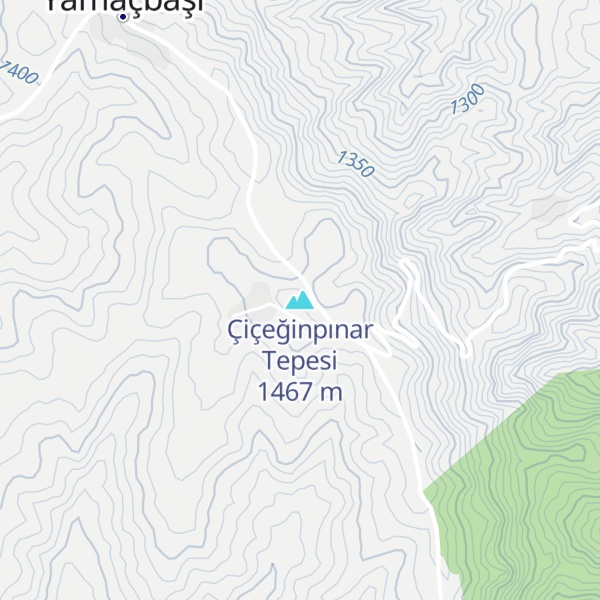 Map of Çiçeğinpınar Tepesi