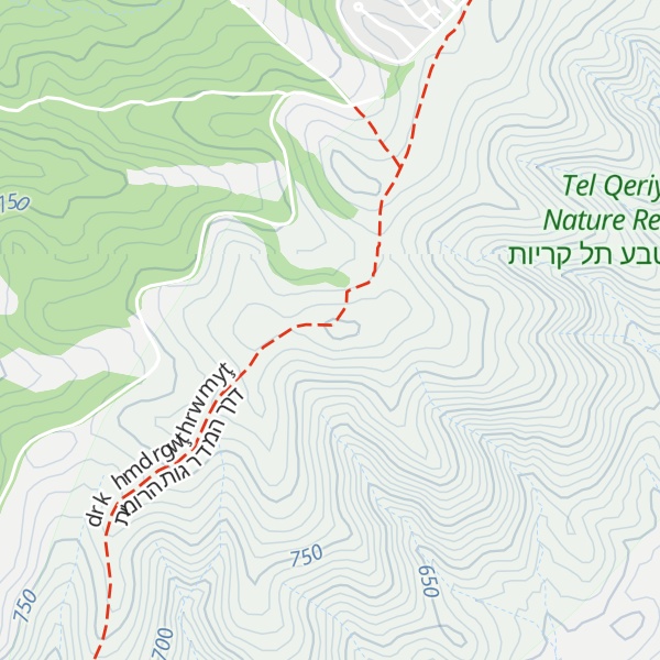 Map of Mt. Amasa