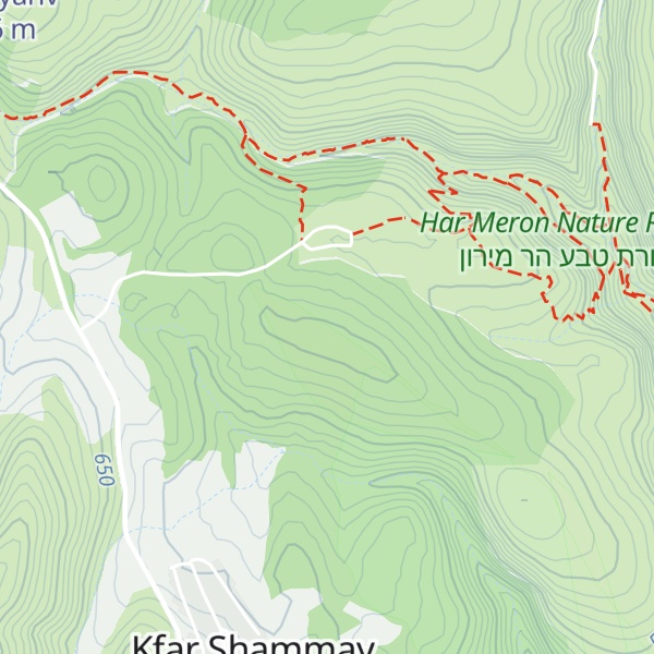 Map of Mt. Mesarevim