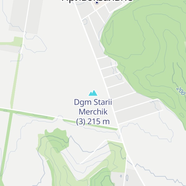 Map of Dgm Starii Merchik (3)