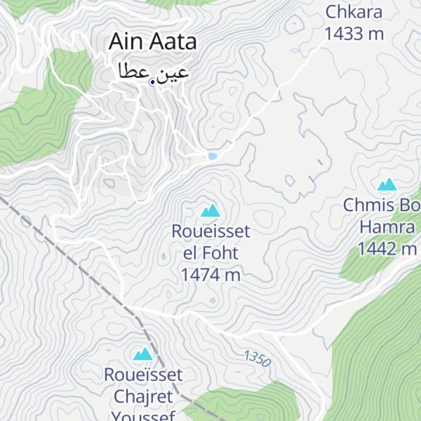 Map of Roueisset el Foht