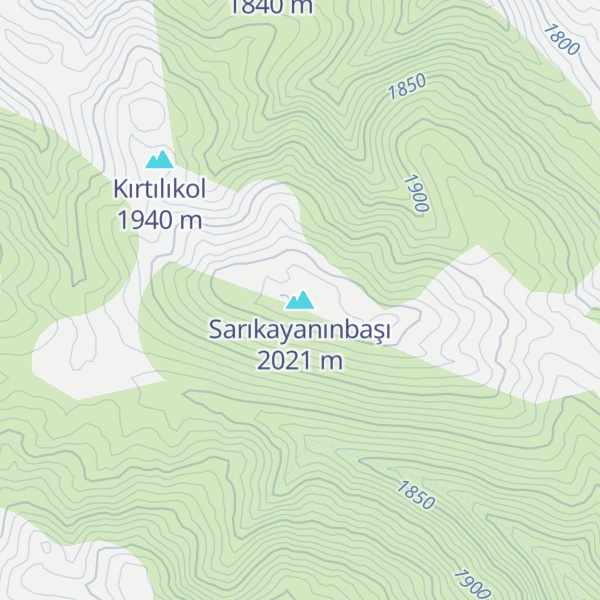 Map of Sarıkayanınbaşı