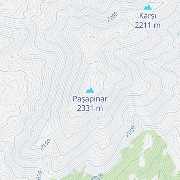 Map of Paşapınar