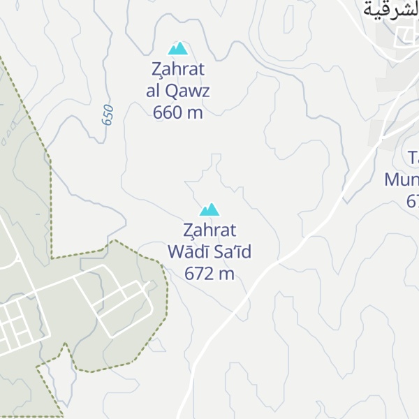 Map of Z̧ahrat Wādī Sa‘īd