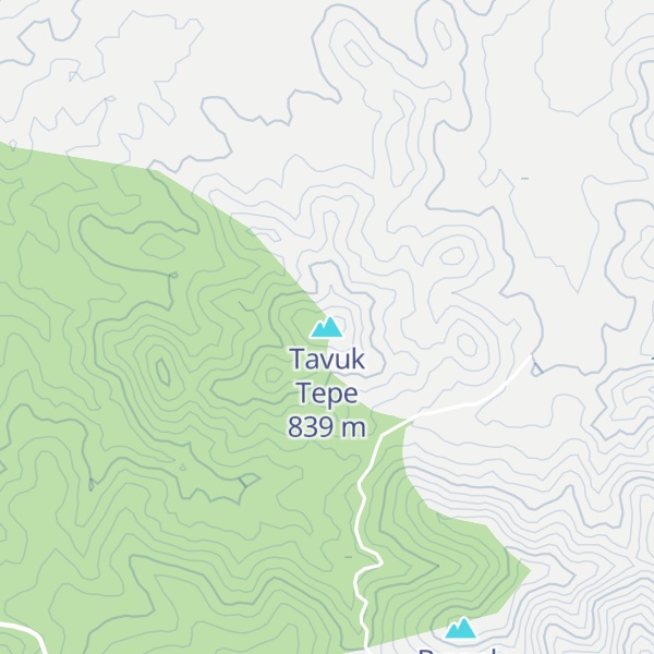 Map of Tavuk Tepe
