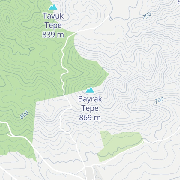 Map of Bayrak Tepe