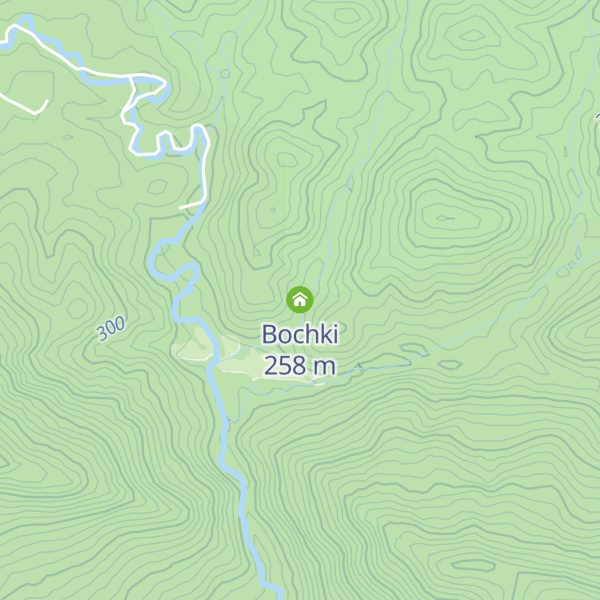 Map of Bochki