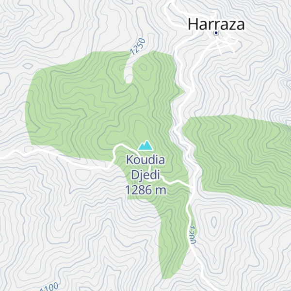 Map of Koudia Djedi