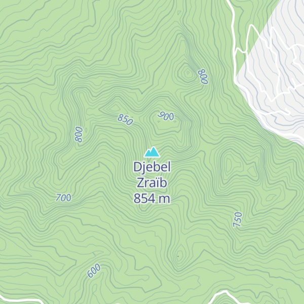 Map of Djebel Zraïb