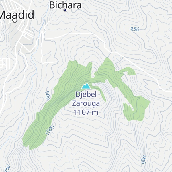 Map of Djebel Zarouga