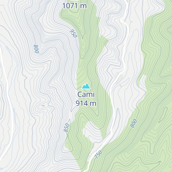 Map of Cami