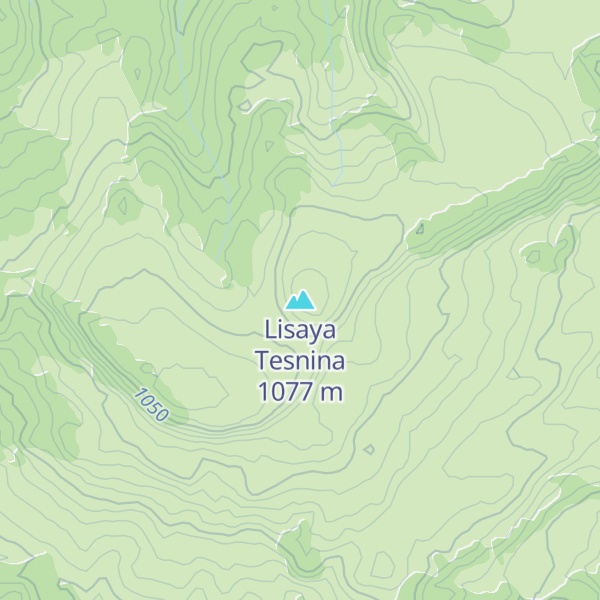 Map of Lisaya Tesnina