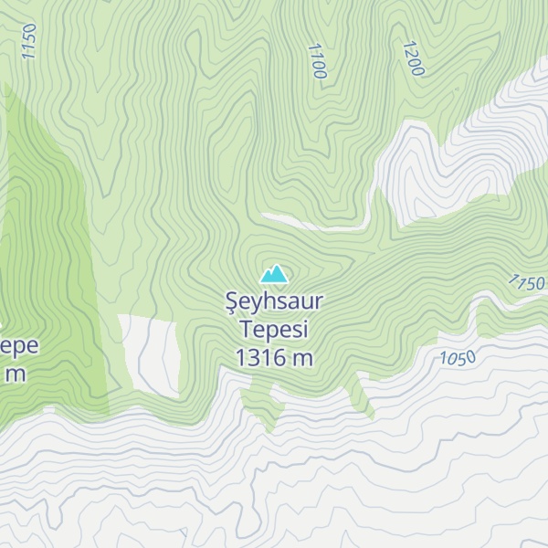 Map of Şeyhsaur Tepesi