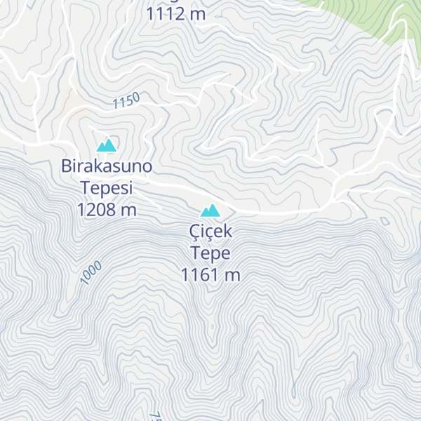 Map of Çiçek Tepe