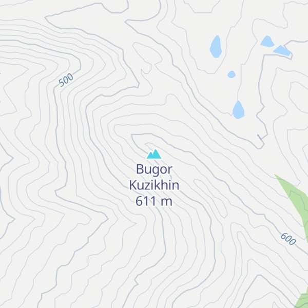 Map of Bugor Kuzikhin