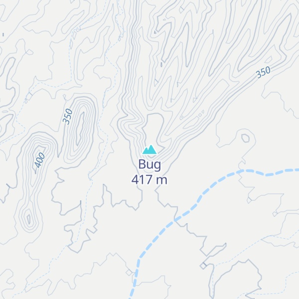 Map of Bug