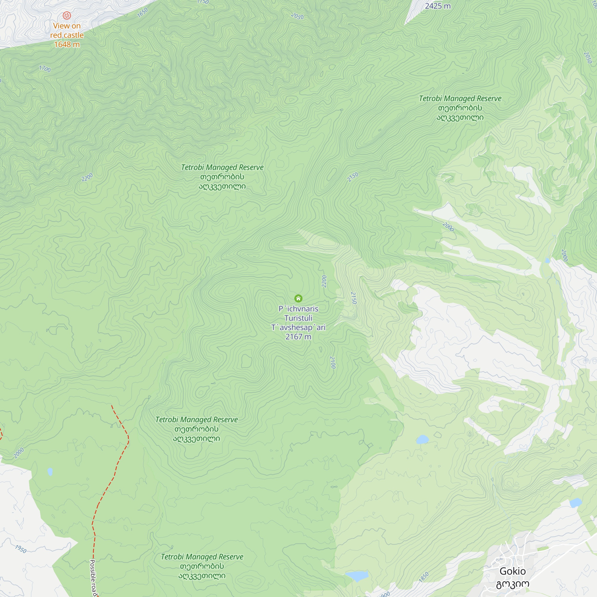 P`ichvnaris Turistuli T`avshesap`ari map