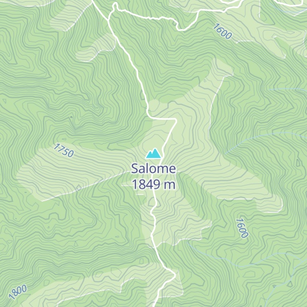 Map of Salome