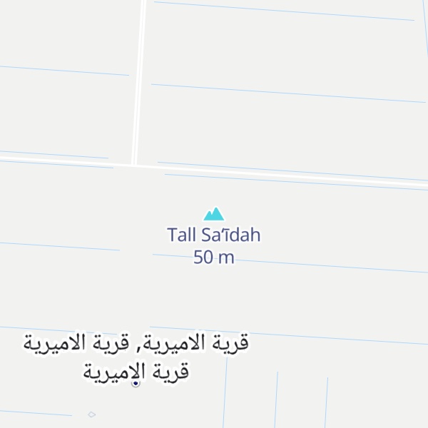 Map of Tall Sa‘īdah