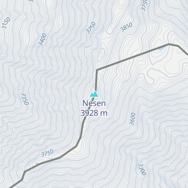 Map of Nesen