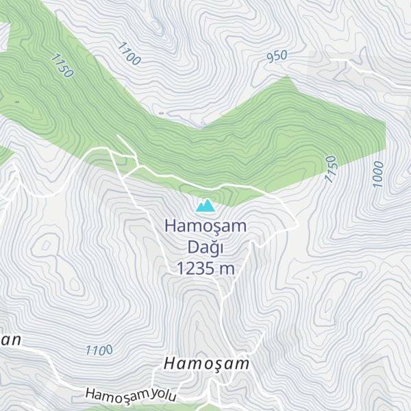 Map of Hamoşam Dağı