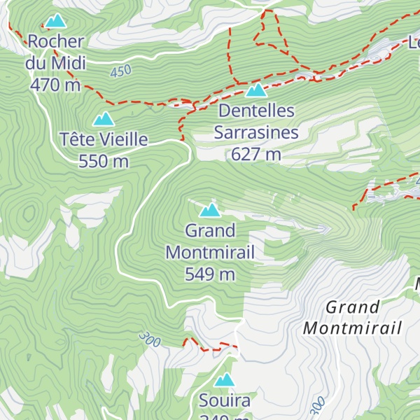 Map of Grand Montmirail
