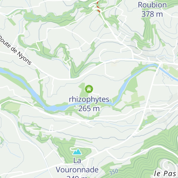 Map of rhizophytes
