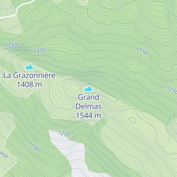 Map of Grand Delmas